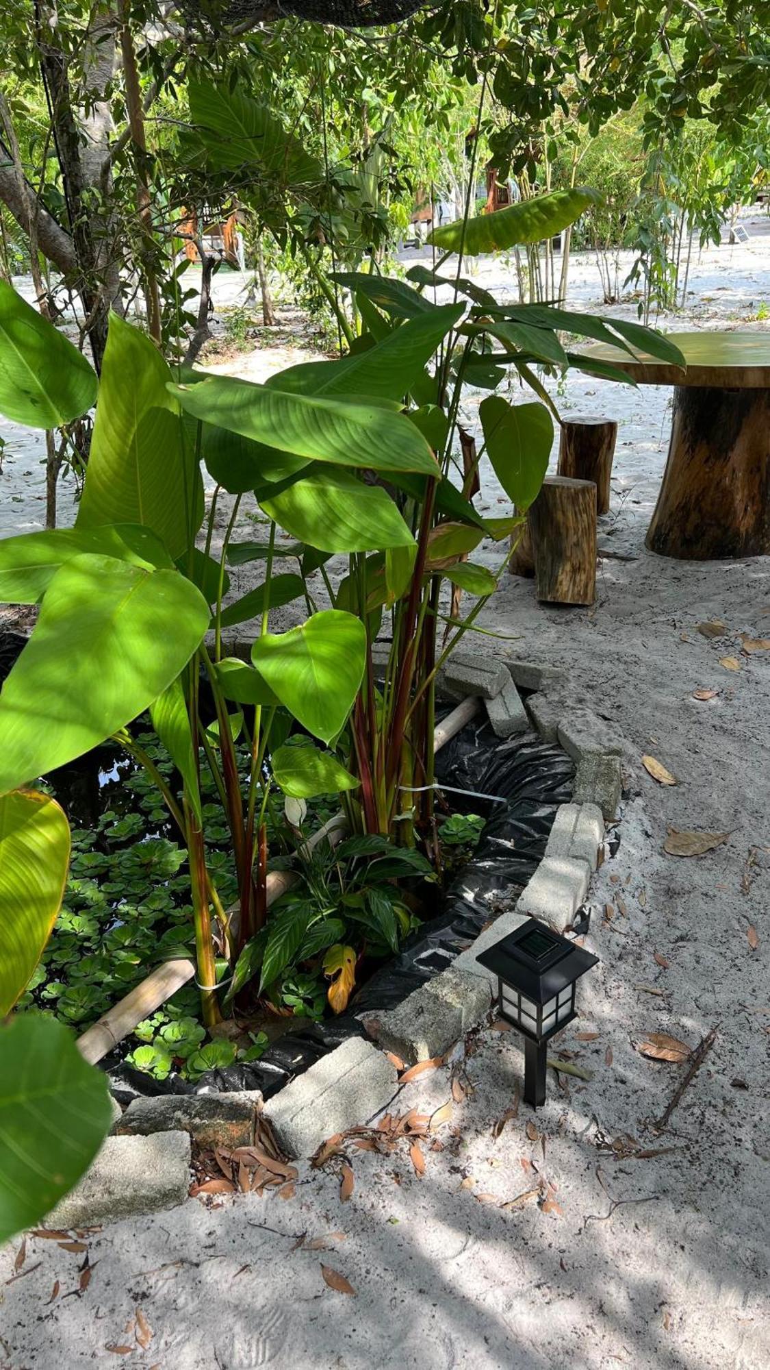 Golden Chenang Village Pantai Cenang  Buitenkant foto