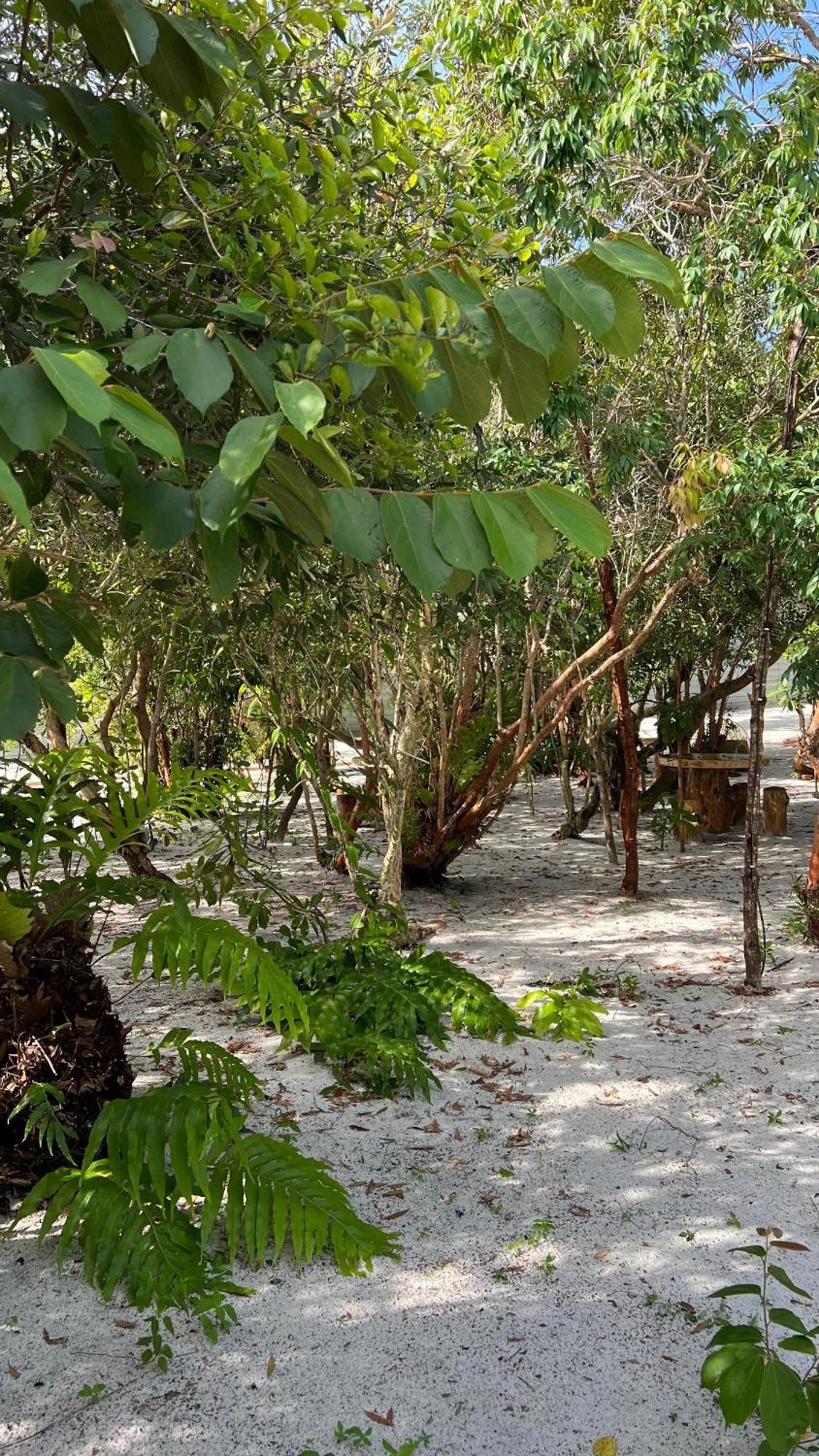 Golden Chenang Village Pantai Cenang  Buitenkant foto
