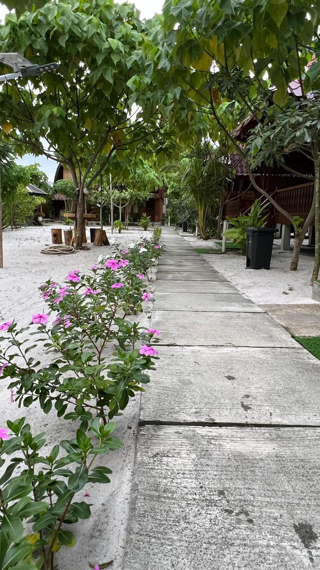 Golden Chenang Village Pantai Cenang  Buitenkant foto